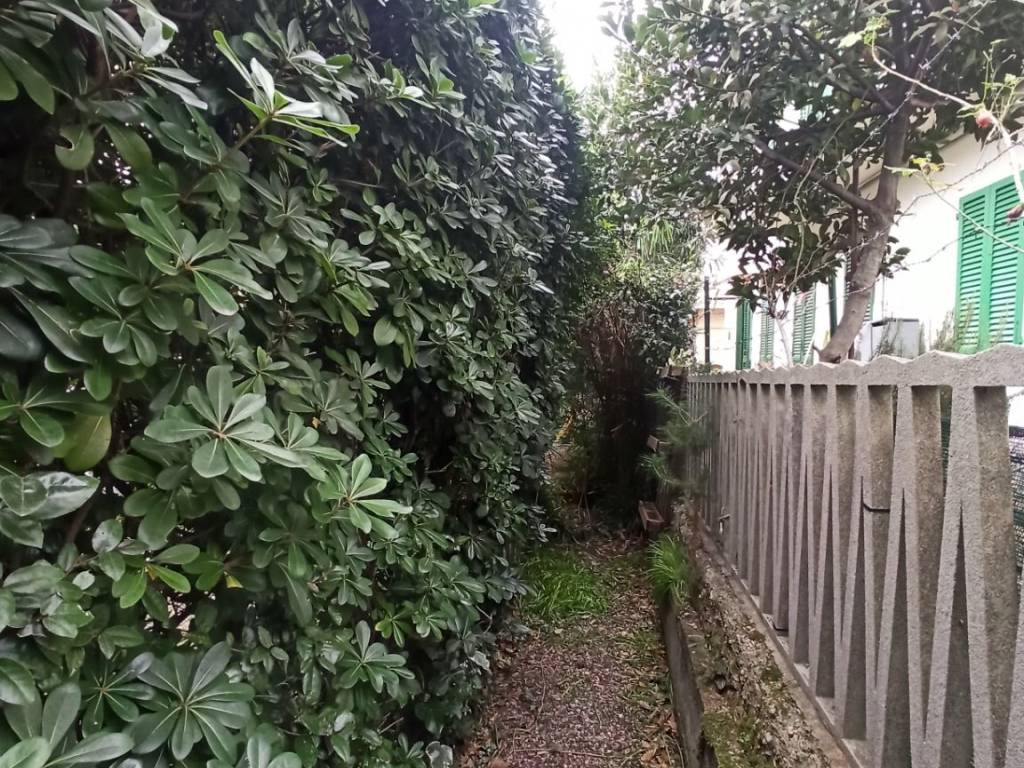 Appartamento a Rosignano marittimo in Via Gorizia - Foto 5