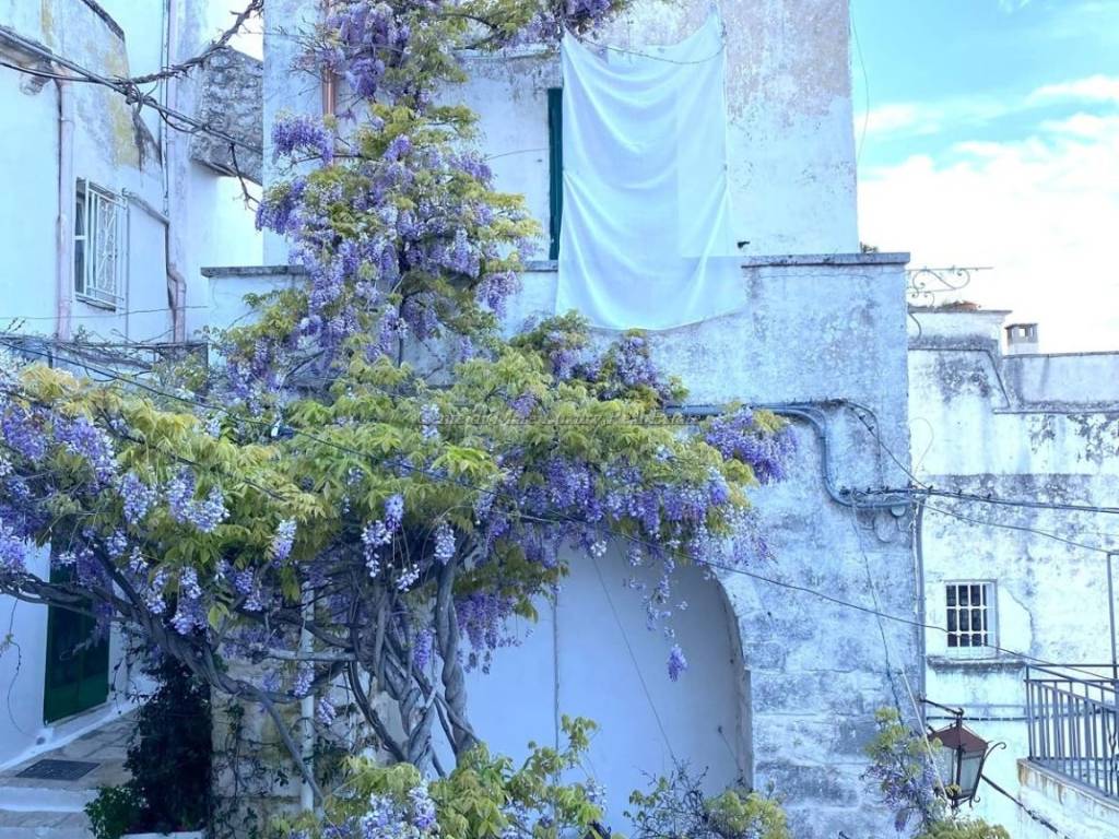 Casa indipendente a Ostuni in Via Cattedrale - Foto 3