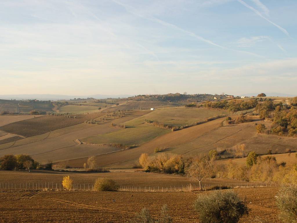 Terreno a Castiglione del lago in Lopi - Foto 2