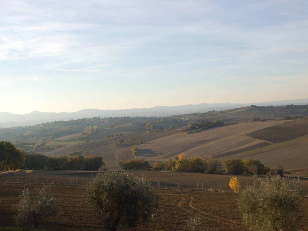 Terreno a Castiglione del lago in Lopi - Foto 3