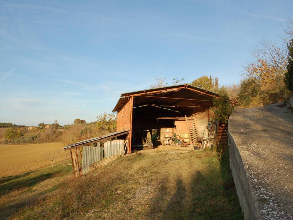 Terreno a Castiglione del lago in Lopi - Foto 4