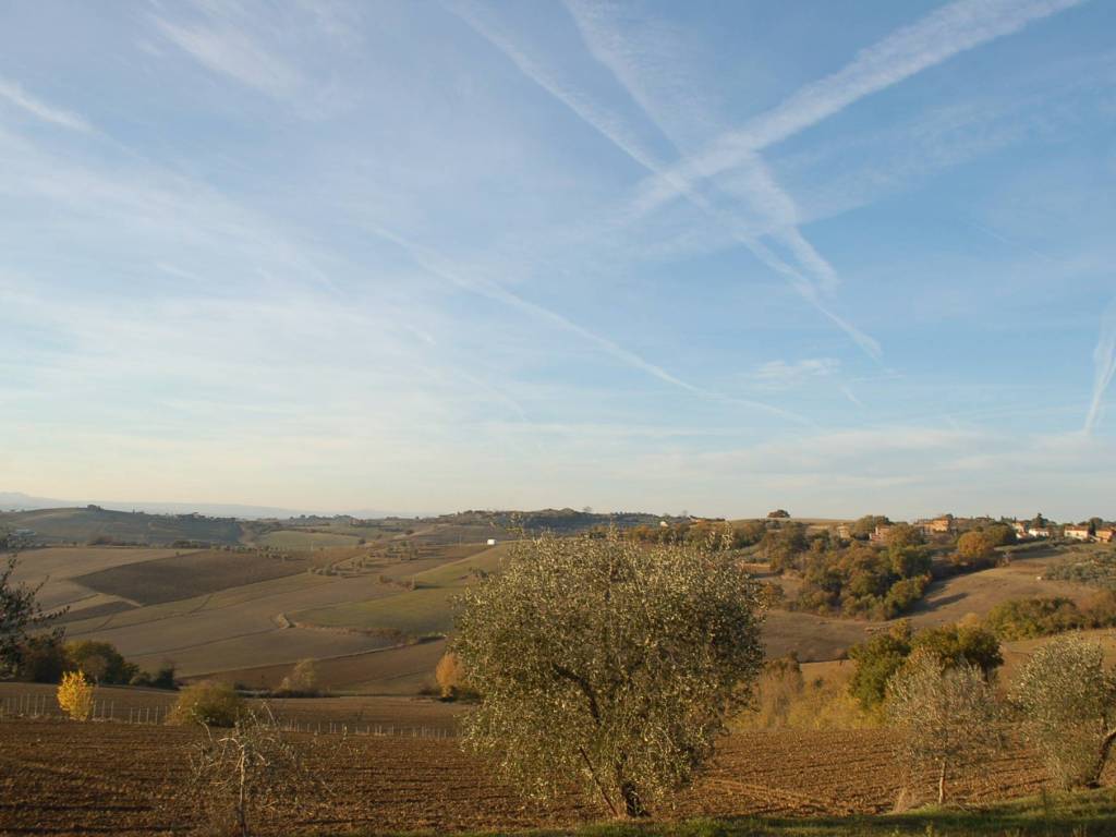 Terreno a Castiglione del lago in Lopi - Foto 5