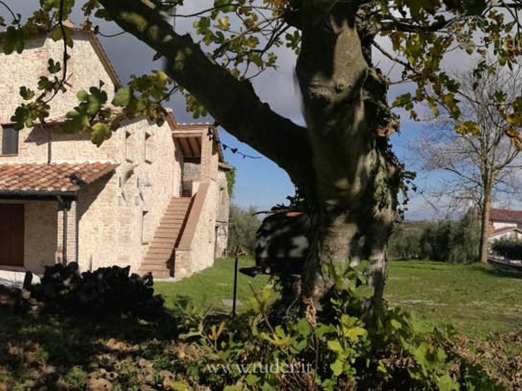 Rustico / casale a Avigliano umbro in Vocabolo Pergolone - Foto 4