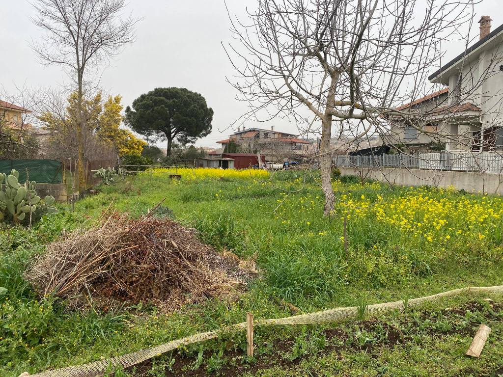 Terreno a Vibo valentia in Contrada Bitonto - Foto 4
