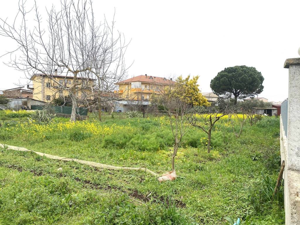 Terreno a Vibo valentia in Contrada Bitonto - Foto 5