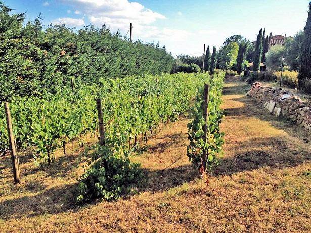Rustico / casale a Cortona - Foto 3