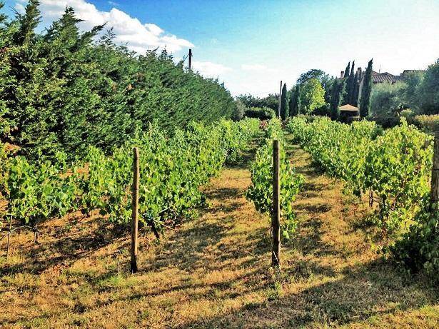 Rustico / casale a Cortona - Foto 4