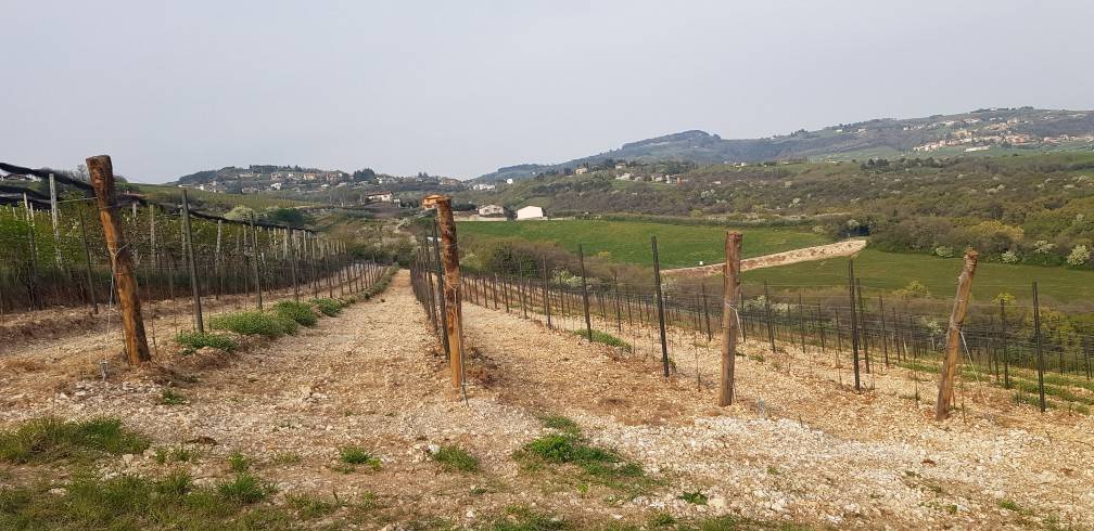 Terreno a Grezzana - Foto 2