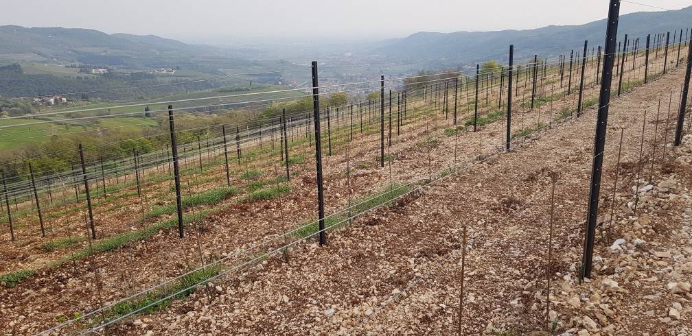 Terreno a Grezzana - Foto 4