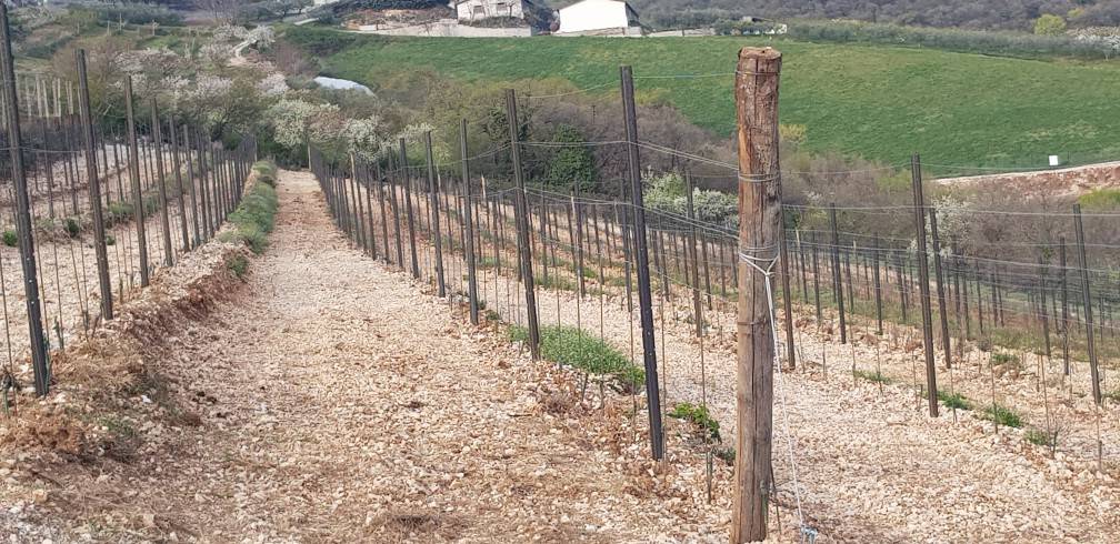 Terreno a Grezzana - Foto 5