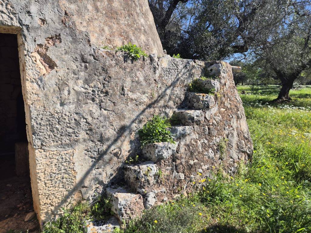 Rustico / casale a Carovigno in Contrada Sierri - Foto 4