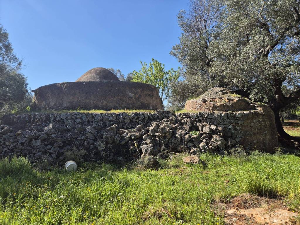 Rustico / casale a Carovigno in Contrada Sierri - Foto 5
