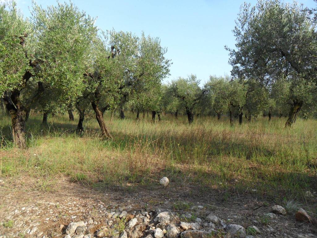 Terreno a Formia in Via Le Starze - Foto 2