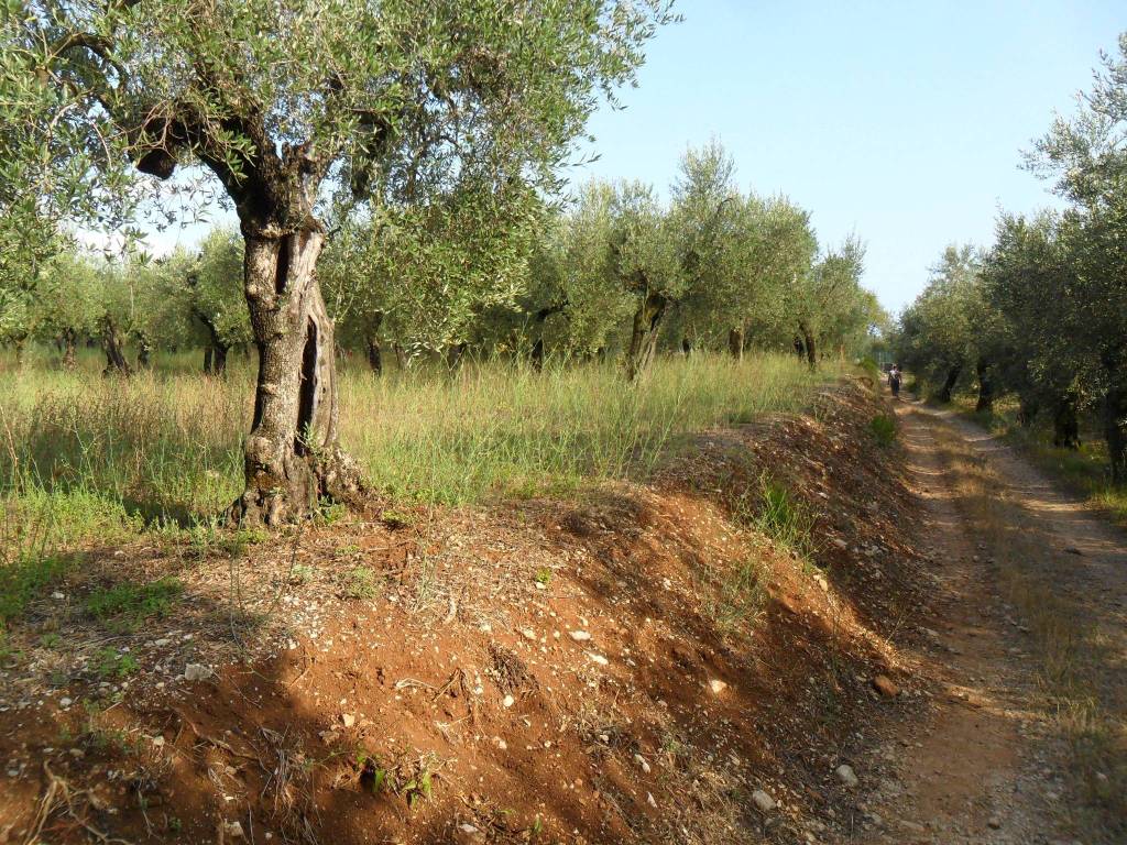 Terreno a Formia in Via Le Starze - Foto 3