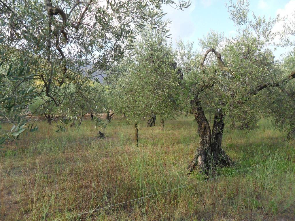 Terreno a Formia in Via Le Starze - Foto 5