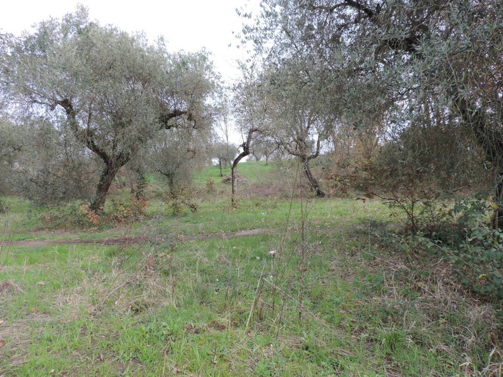 Terreno a Fara in sabina - Foto 2