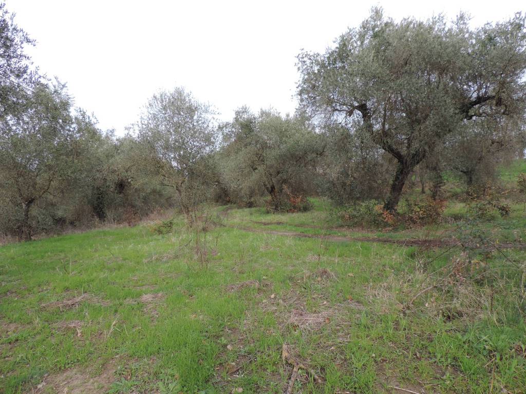 Terreno a Fara in sabina - Foto 3