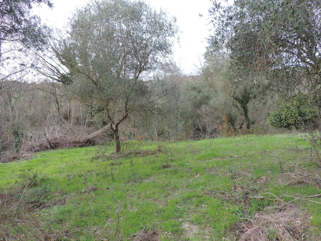 Terreno a Fara in sabina - Foto 4