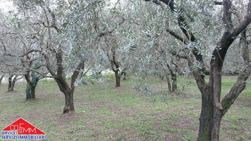 Rustico / casale a Sora in Via Quagliarino - Foto 4