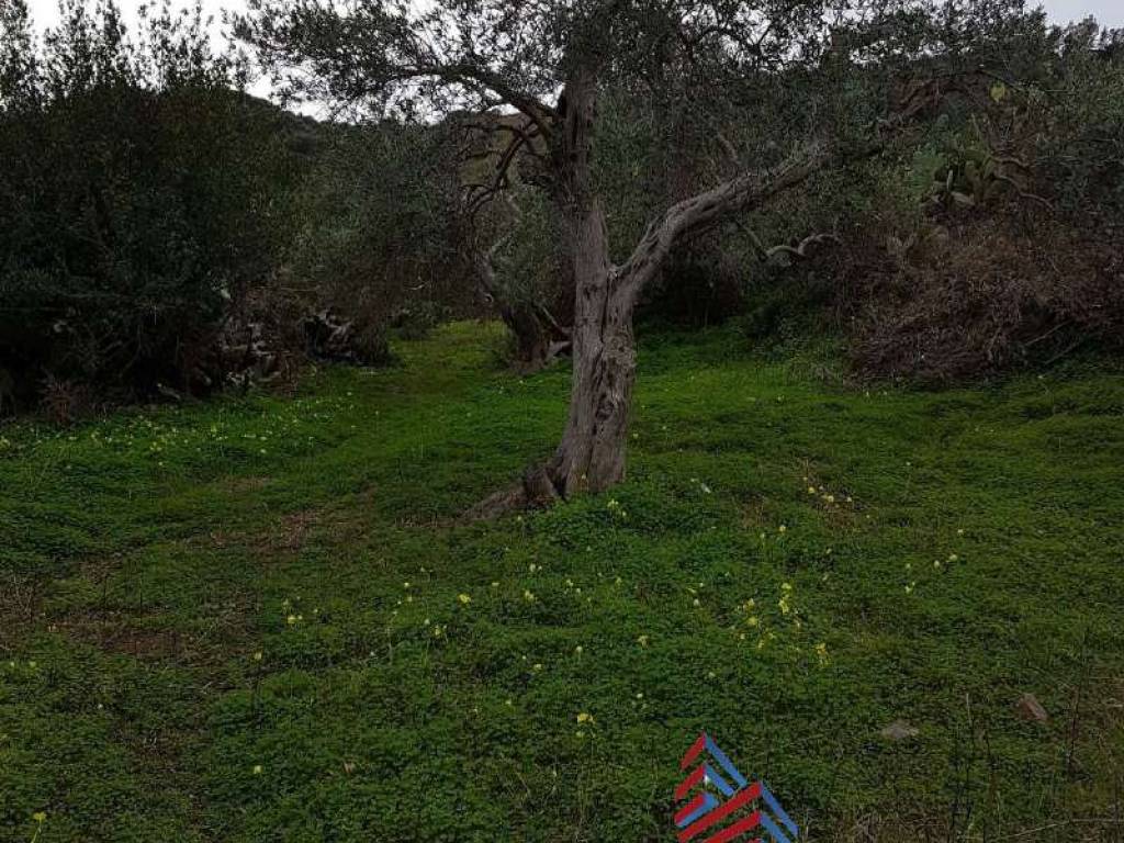 Terreno a Bolognetta - Foto 4