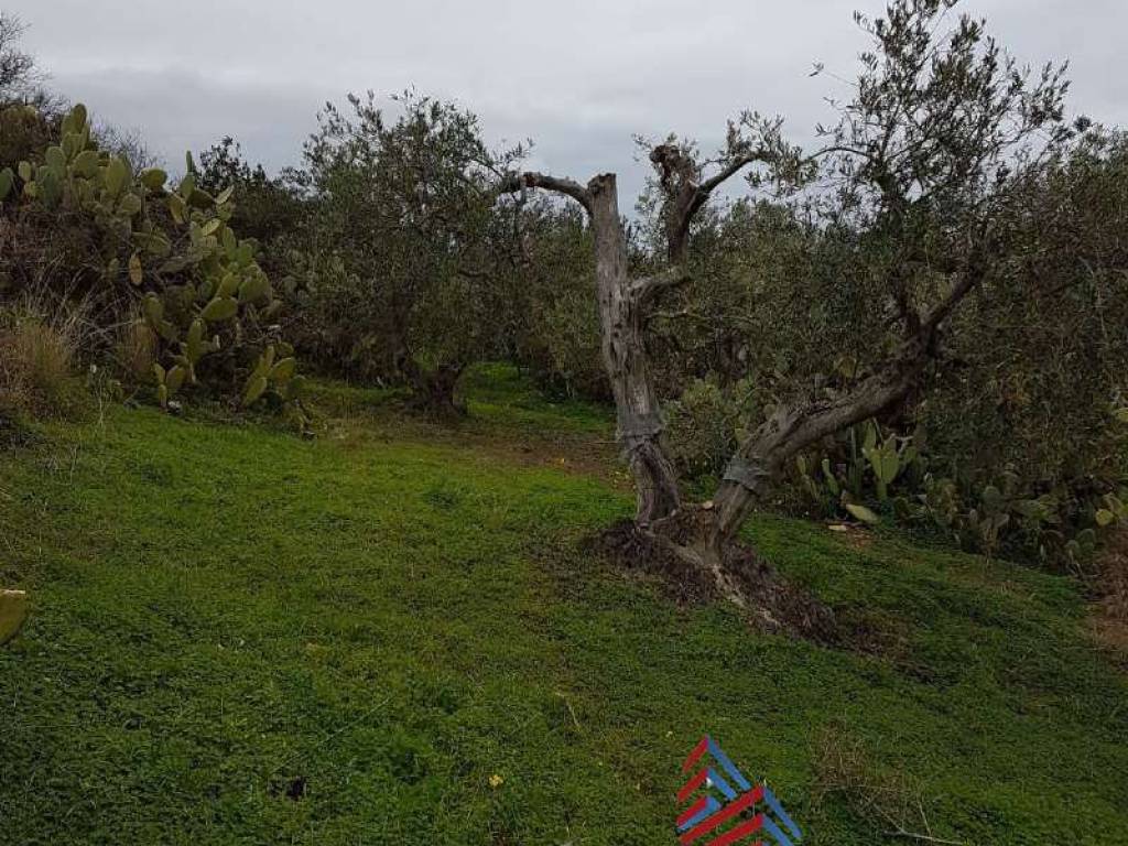 Terreno a Bolognetta - Foto 5