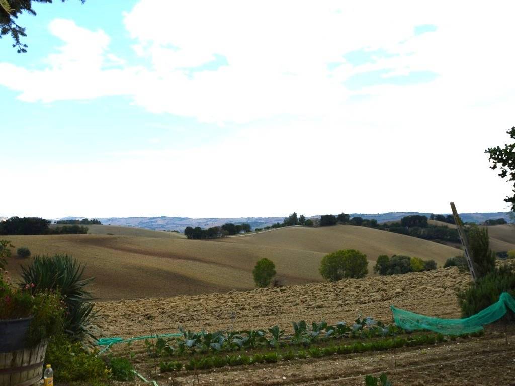 Rustico / casale a Recanati - Foto 5