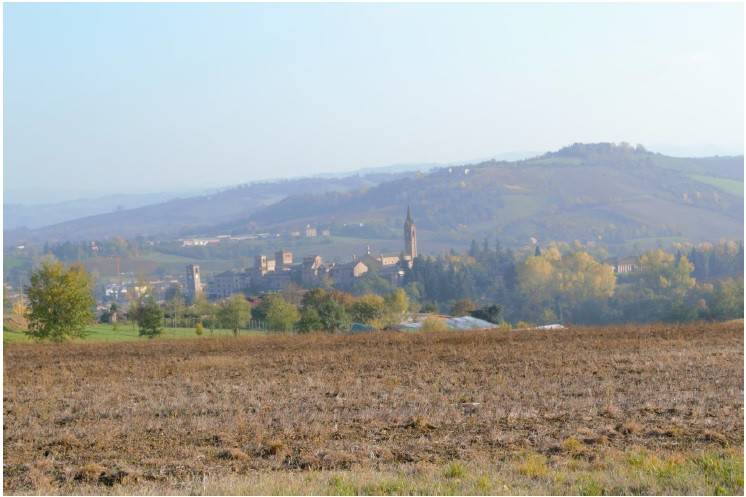 Terreno a Castelvetro di modena in Via Sinistra Guerro - Foto 3