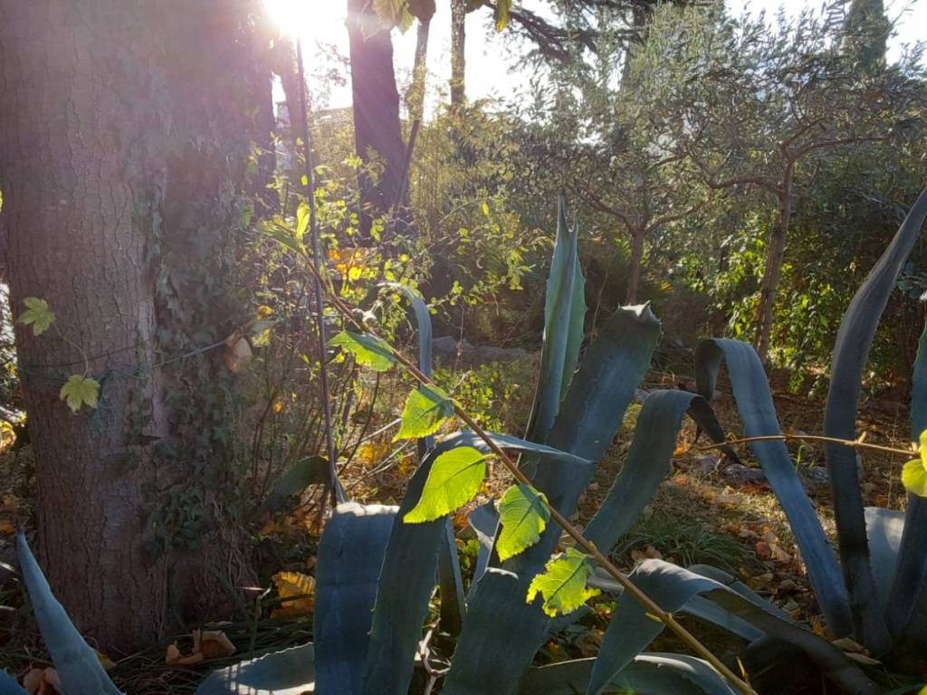 Villa a Appignano - Foto 5