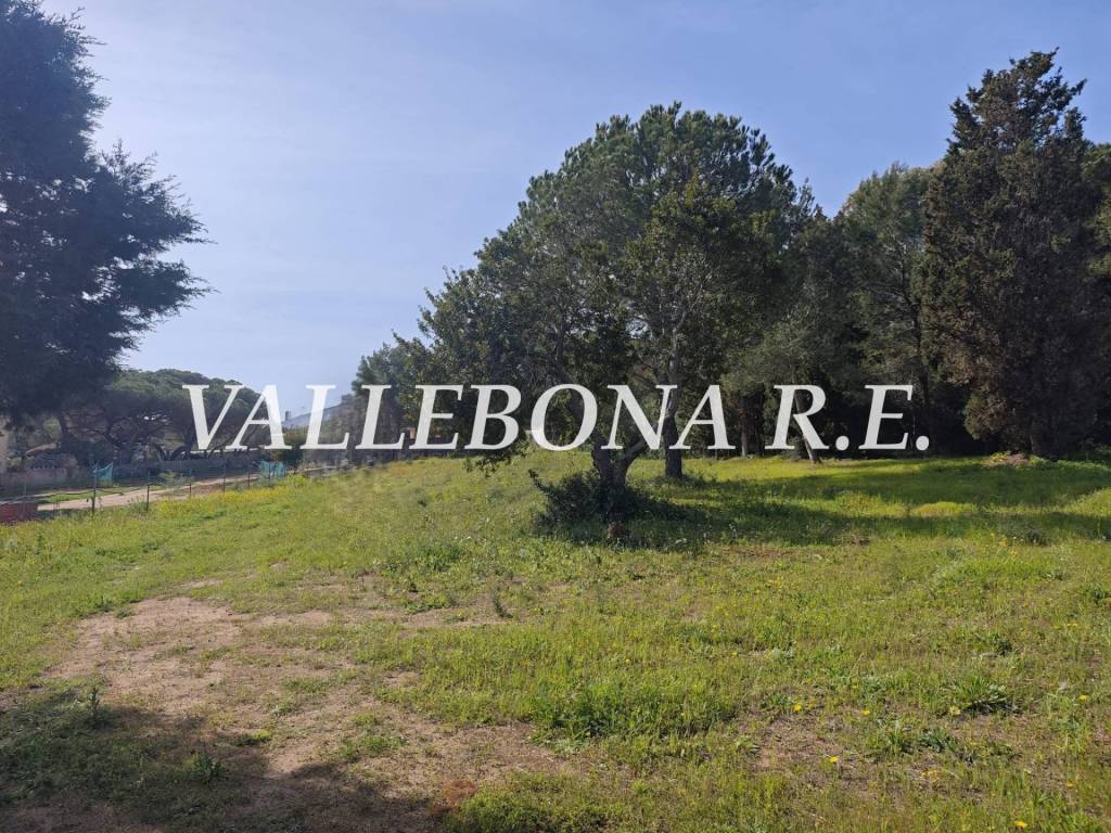 Villa a Carloforte in Località Taccarossa - Foto 3