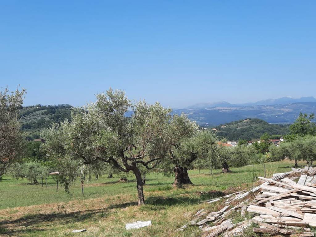 Terreno a Melizzano in Via Selice - Foto 3