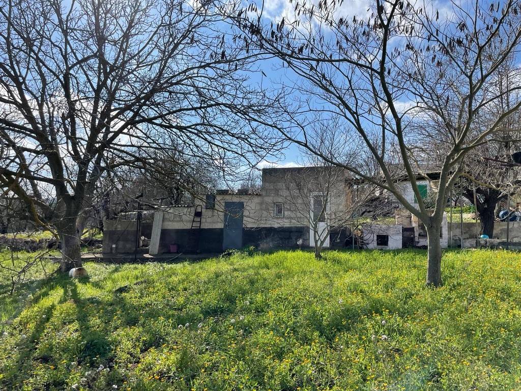 Rustico / casale a Ceglie messapica in Via Sacerdote Lisi - Foto 5