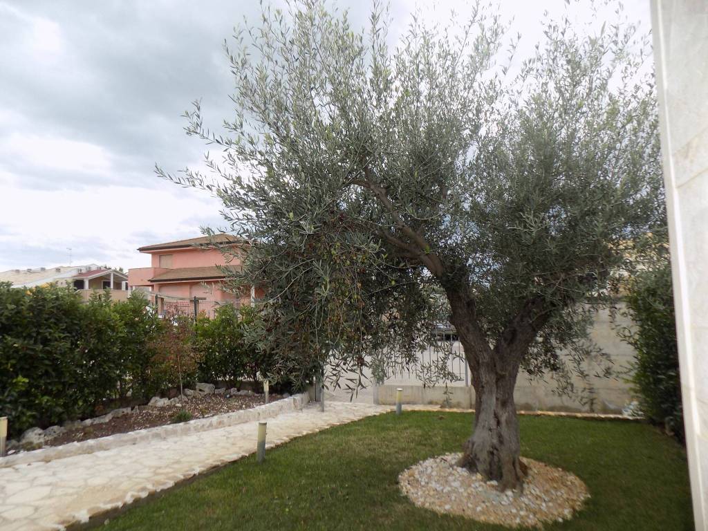 Villa a Policoro - Foto 3