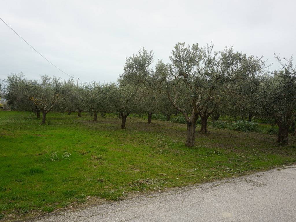 Terreno a Martinsicuro in Via Nemezio Ricci - Foto 3