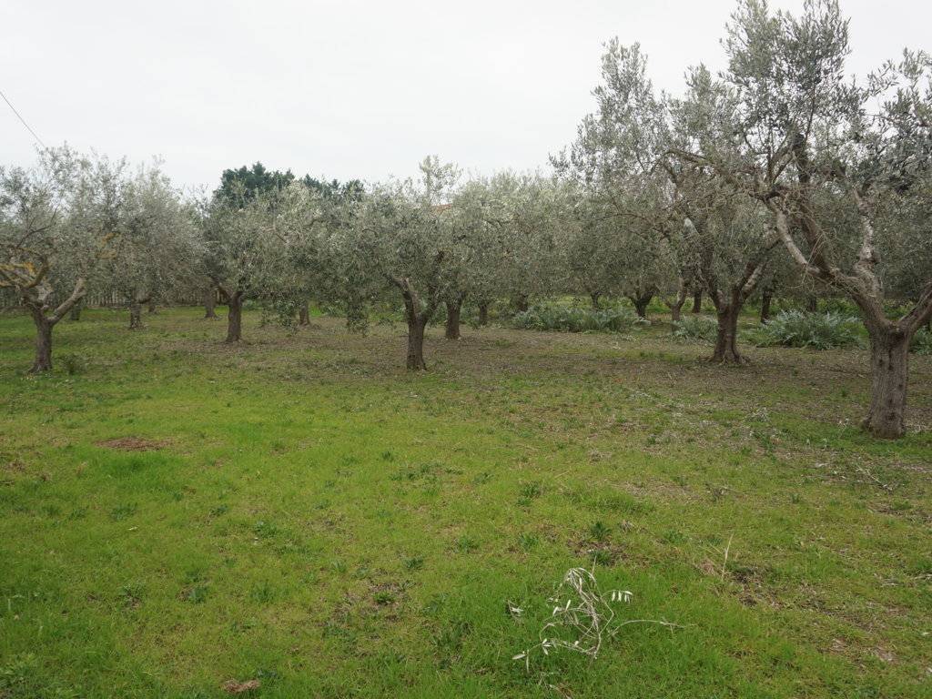 Terreno a Martinsicuro in Via Nemezio Ricci - Foto 4