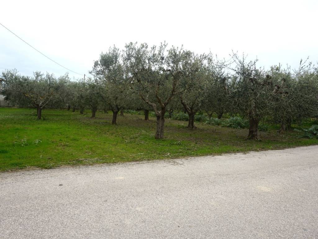 Terreno a Martinsicuro in Via Nemezio Ricci - Foto 5