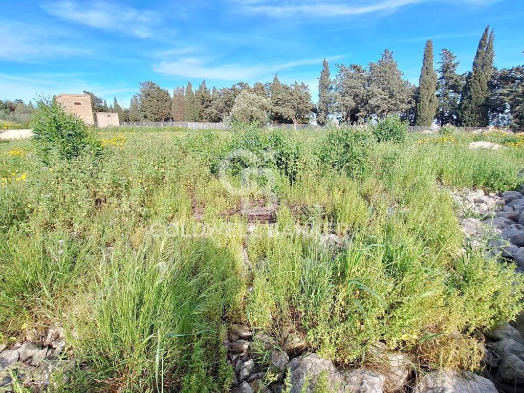 Terreno a Pozzallo in c.da Carpintera - Foto 5