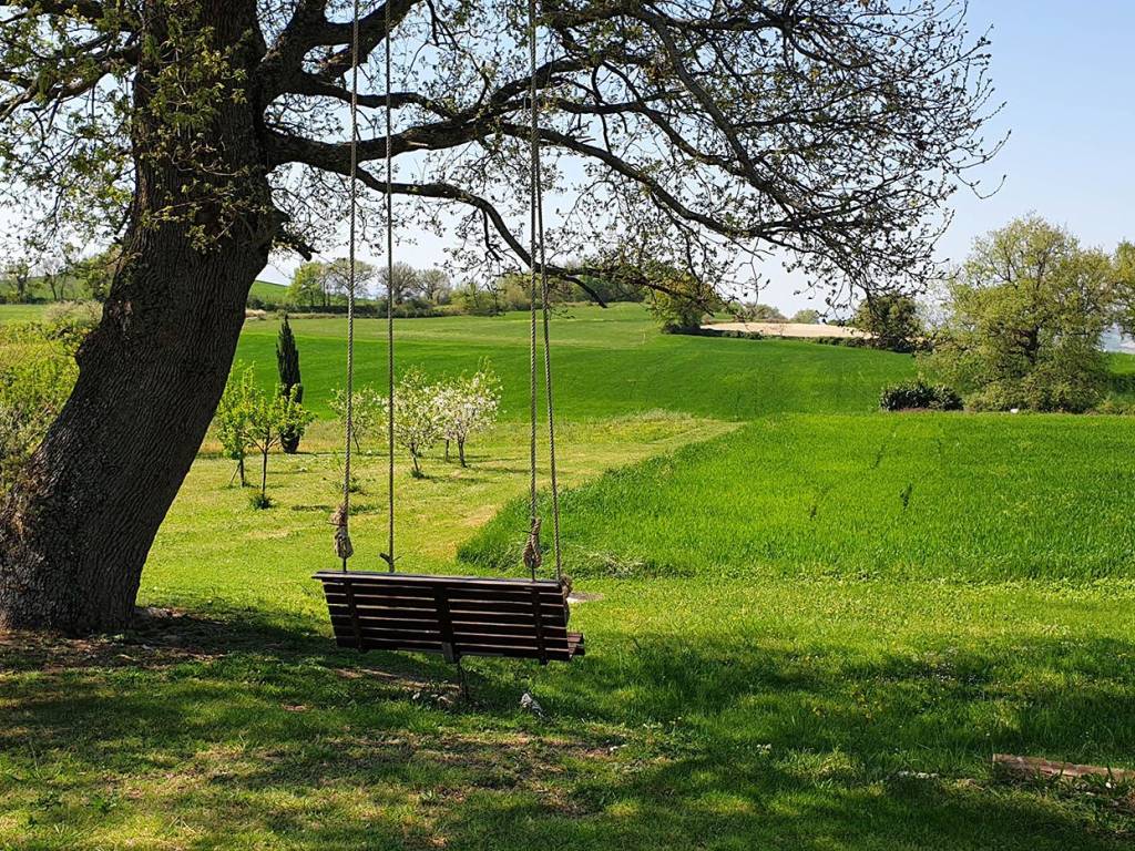Rustico / casale a Pergola in Frazione Montesecco - Foto 3