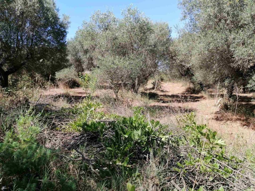 Rustico / casale a Viterbo in Castell D'asso - Foto 3