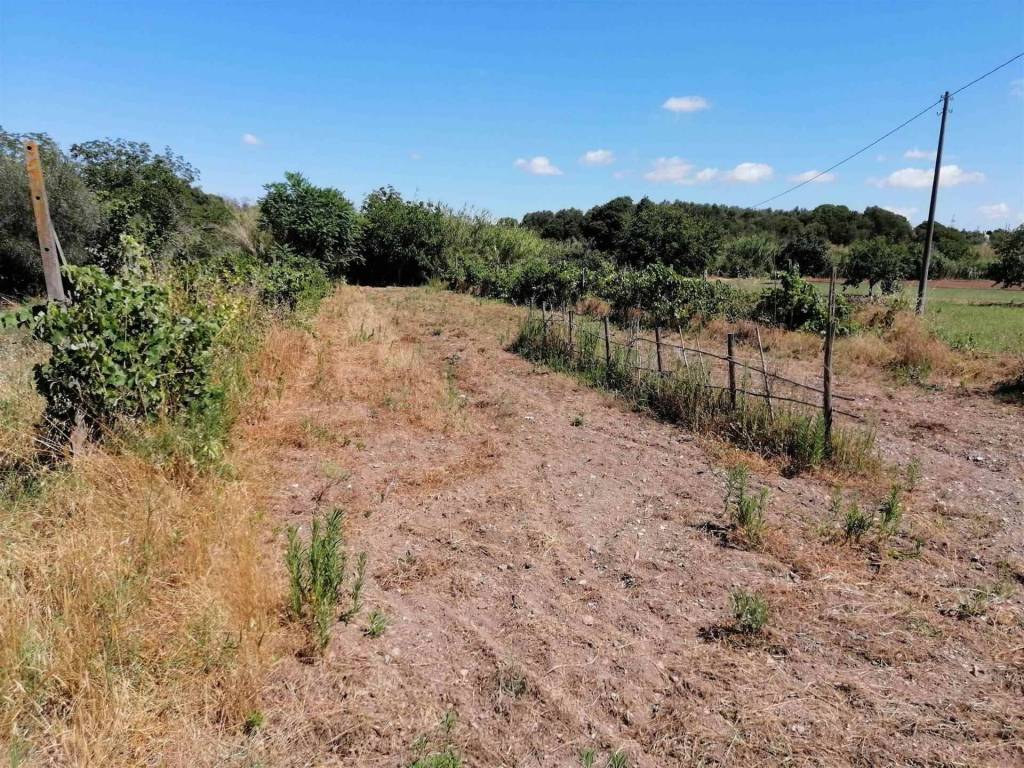 Rustico / casale a Viterbo in Castell D'asso - Foto 4