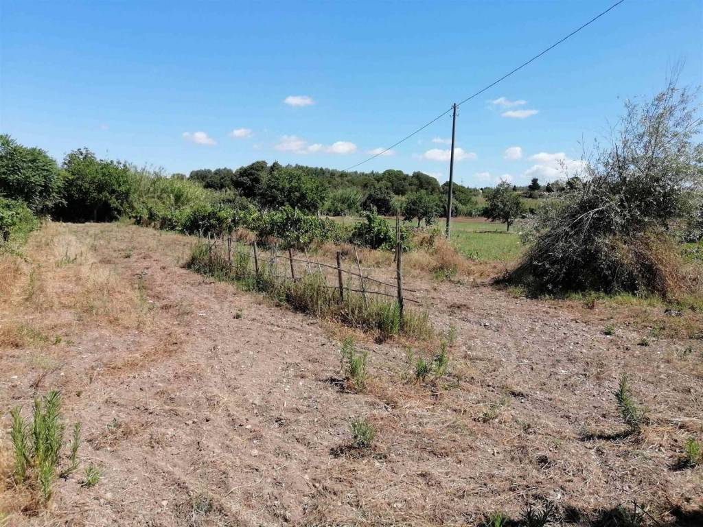 Rustico / casale a Viterbo in Castell D'asso - Foto 5