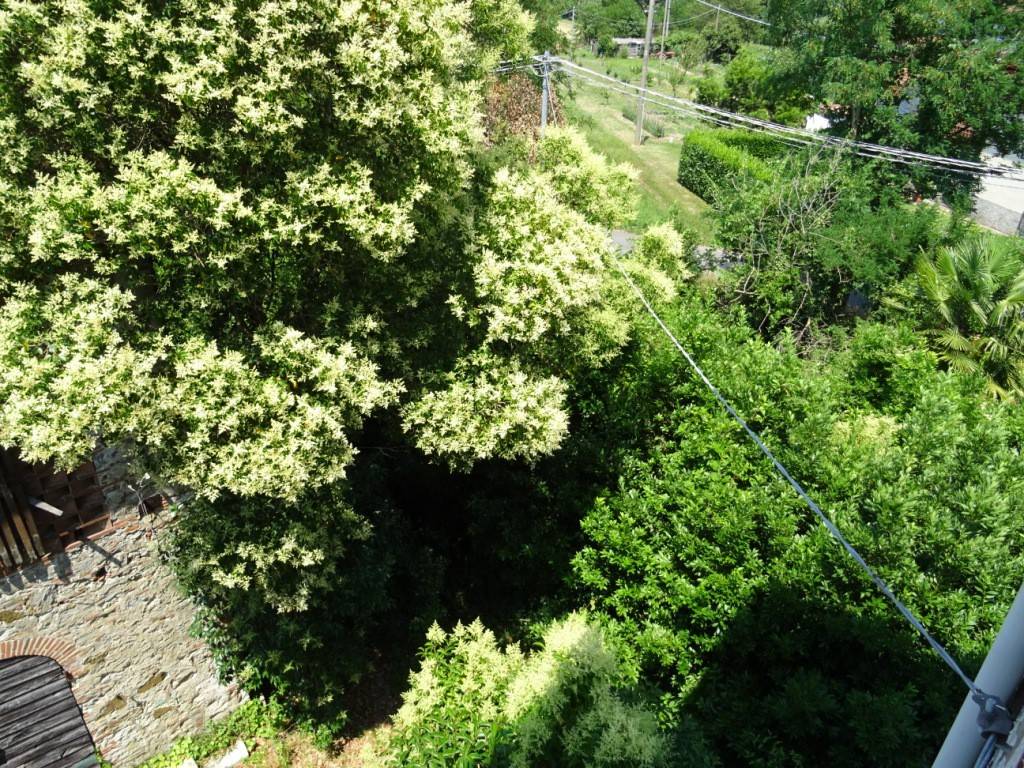 Villa a Lucca in Strada Reg. dell'Abetone e del Brennero - Foto 4