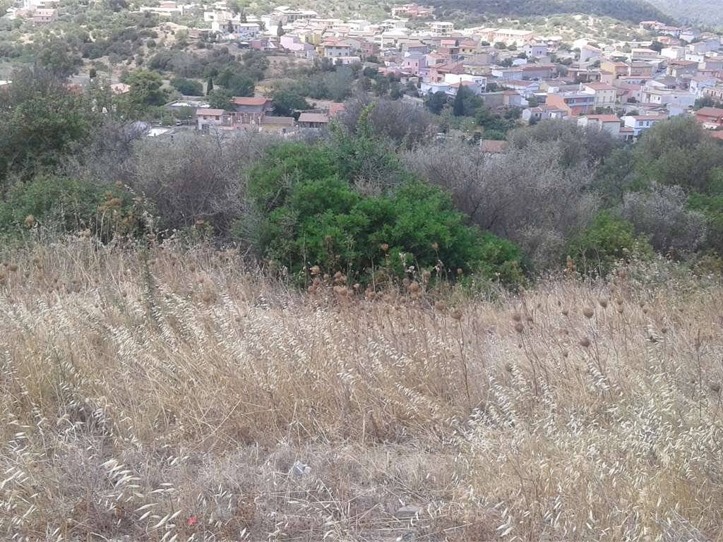 Terreno a Teulada - Foto 2