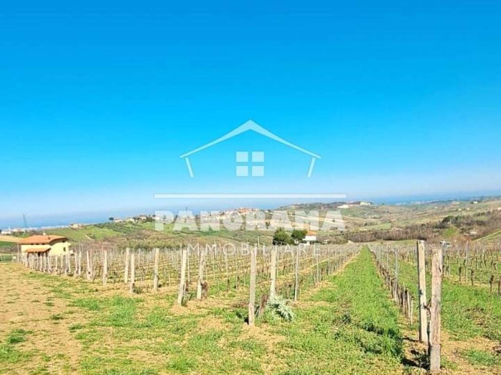 Terreno a Coriano - Foto 2