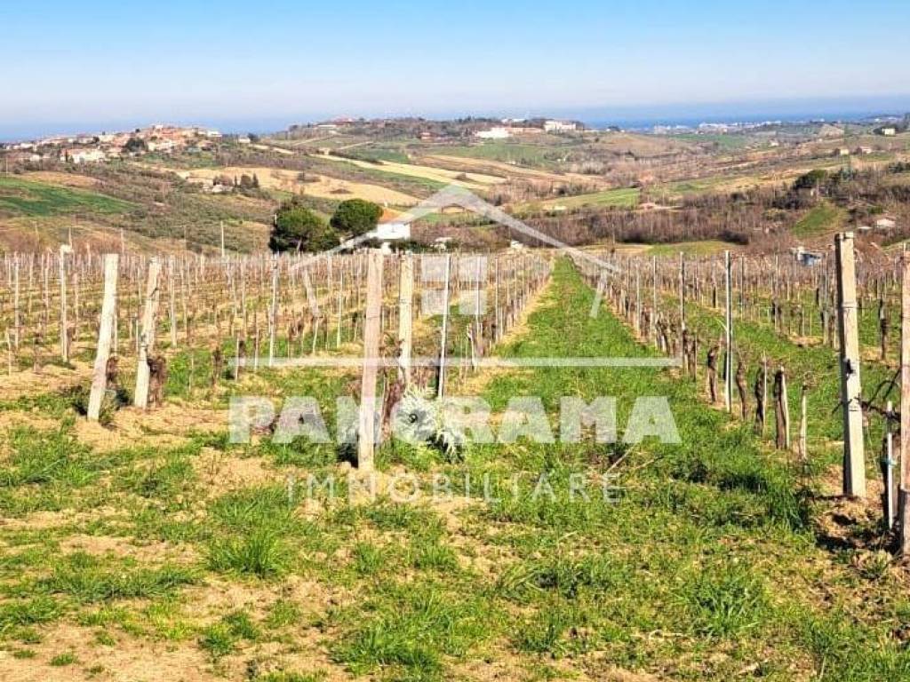 Terreno a Coriano - Foto 3
