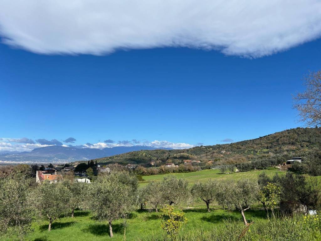 Terreno a Altavilla silentina in Contrada Santa Lucia - Foto 2