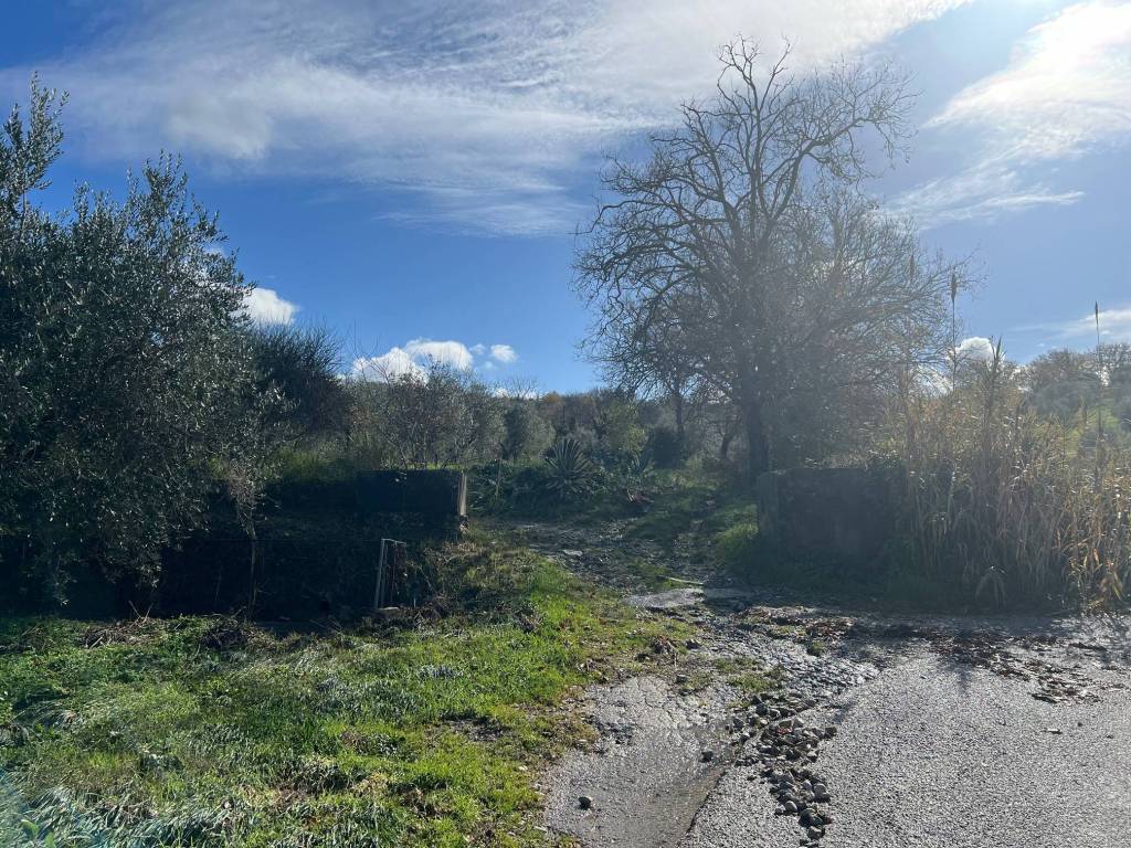 Terreno a Altavilla silentina in Contrada Santa Lucia - Foto 3