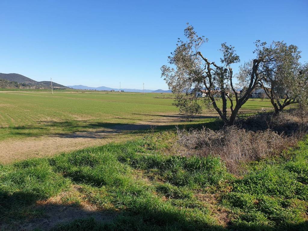 Terreno a Grosseto in Strada Chiocciolaia - Foto 3