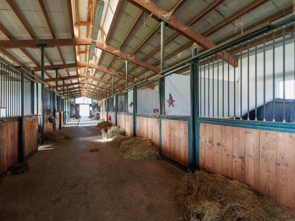 Rustico / casale a Cellarengo in Strada Menabò - Foto 4