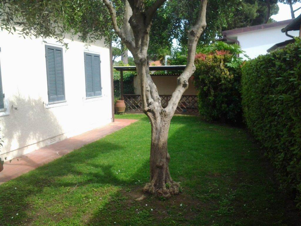 Villa a Forte dei marmi in Via Giuseppe Viner, 48 - Foto 2