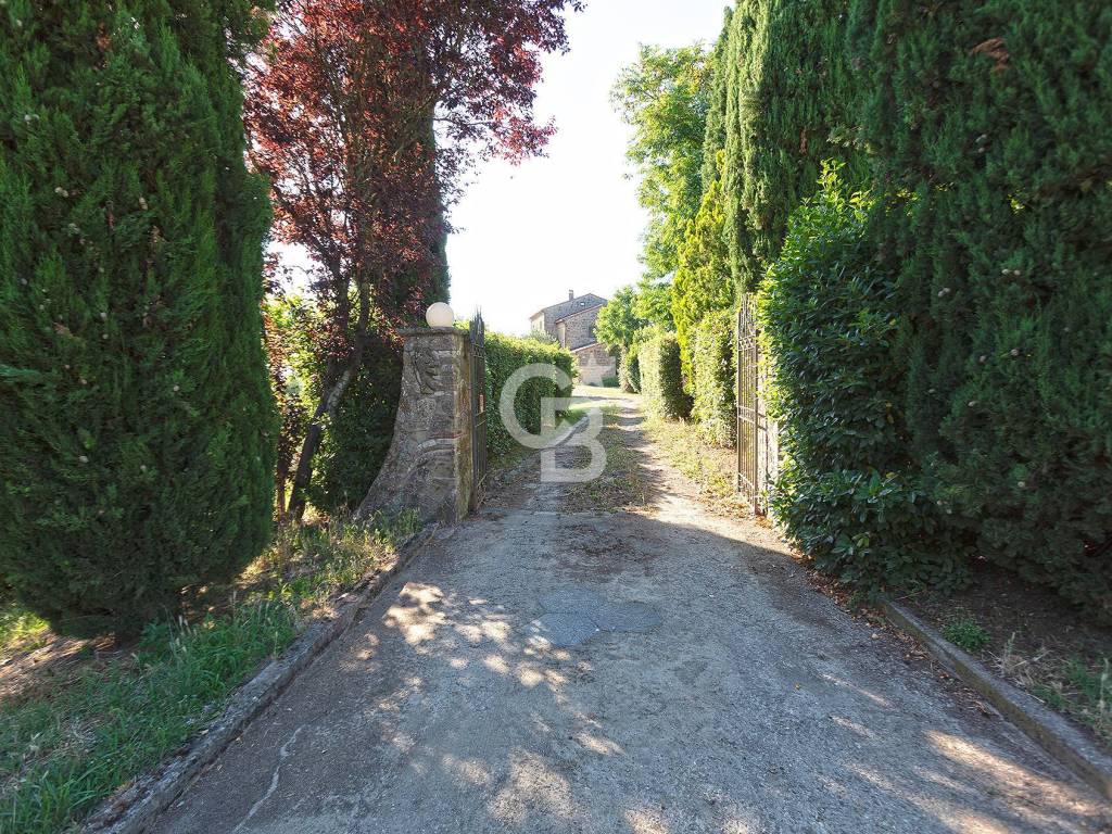 Villa a Pitigliano in Podere Le Selvacce - Foto 3